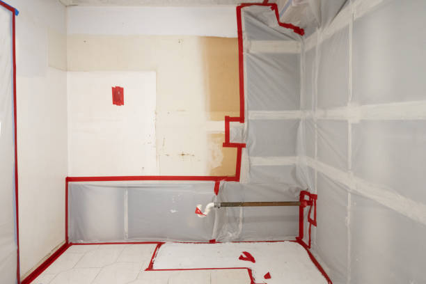 Best Real Estate Mold Inspection  in Mayfield, KY